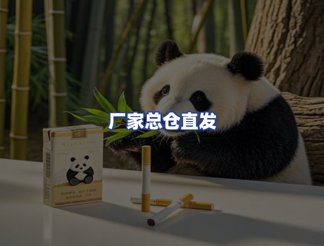 专业团队